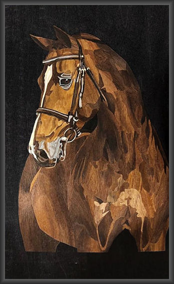 Horse study